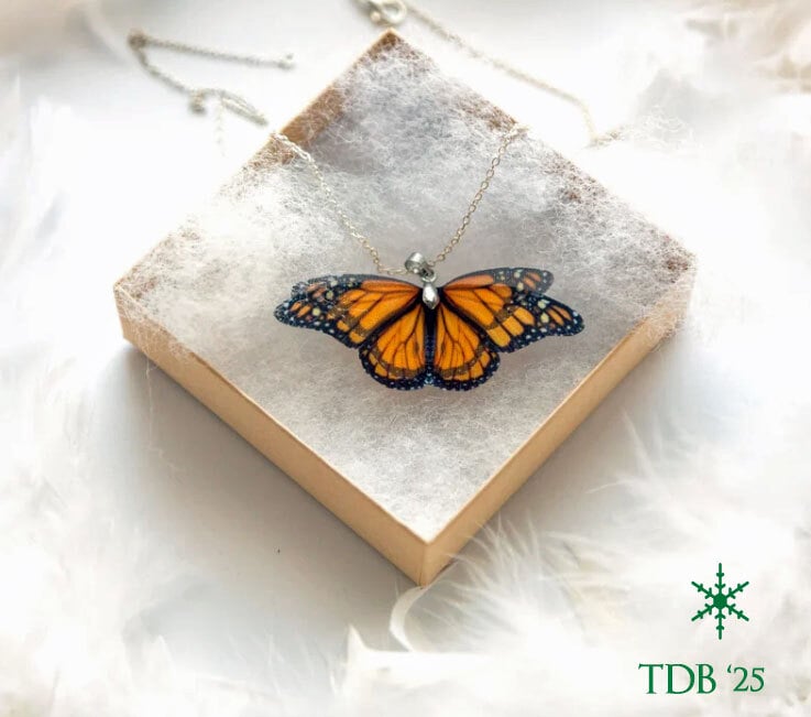 🦋 Gift Idea 7❓🎁 🧐 