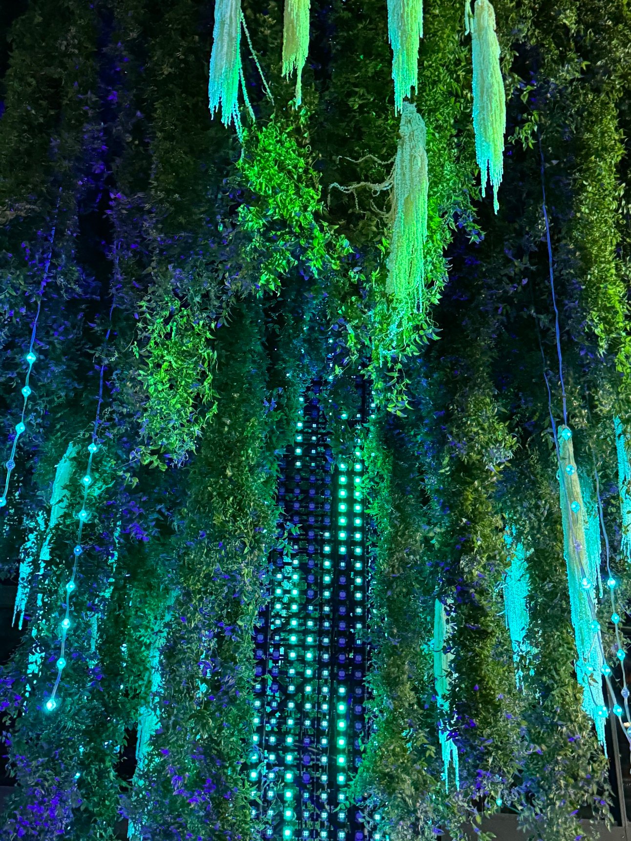 Stop Talking About Web3