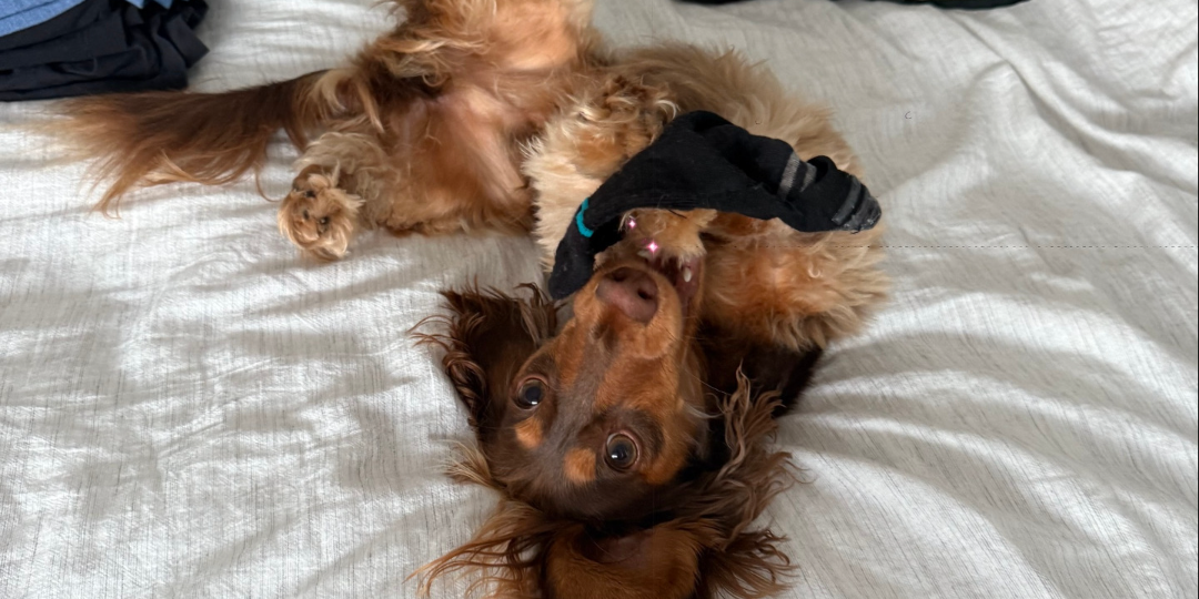 We Don't Rent The Good Stuff