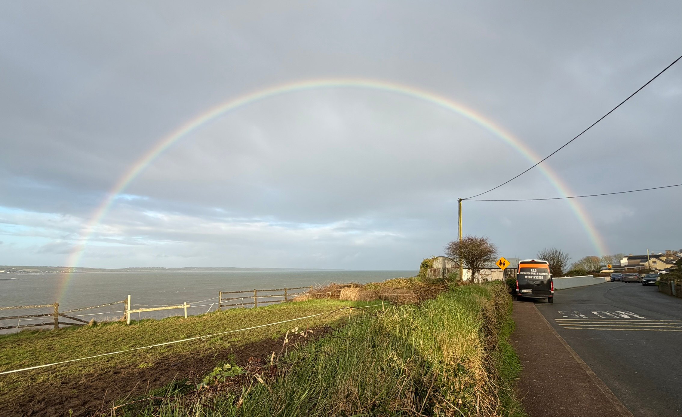 AI: The Future is Very Good at Dishwashers