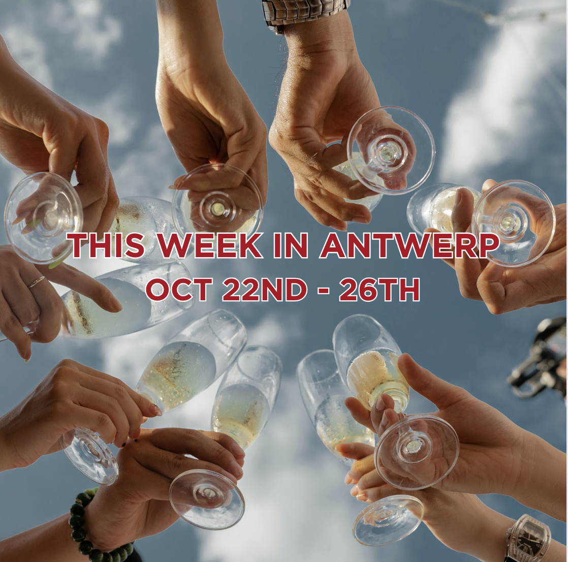 Antwerp Hive - Week 43