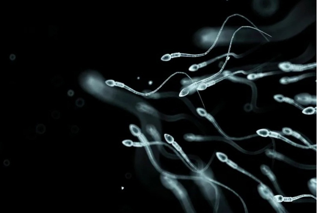 "Harnessing Vitality: The Mastery of Semen Retention"