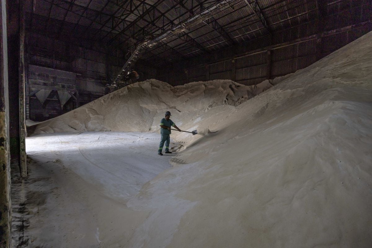 Etanol de milho, o outro desafio da Raízen