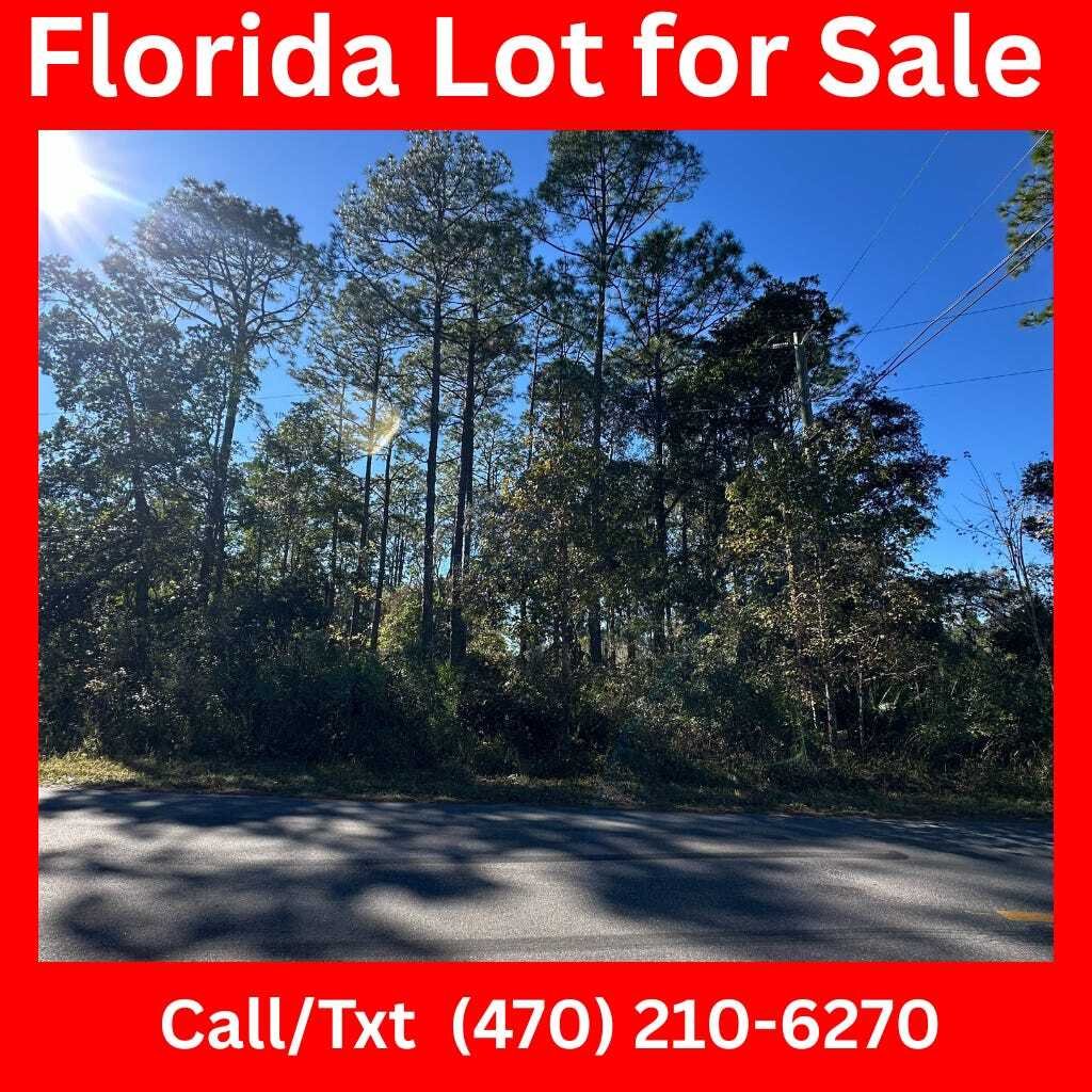 0.23 Acre Florida Lot for Only $14K! 
