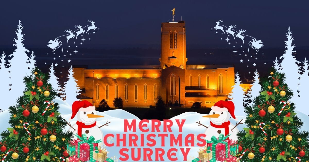 🦌How is you Christmas Going?