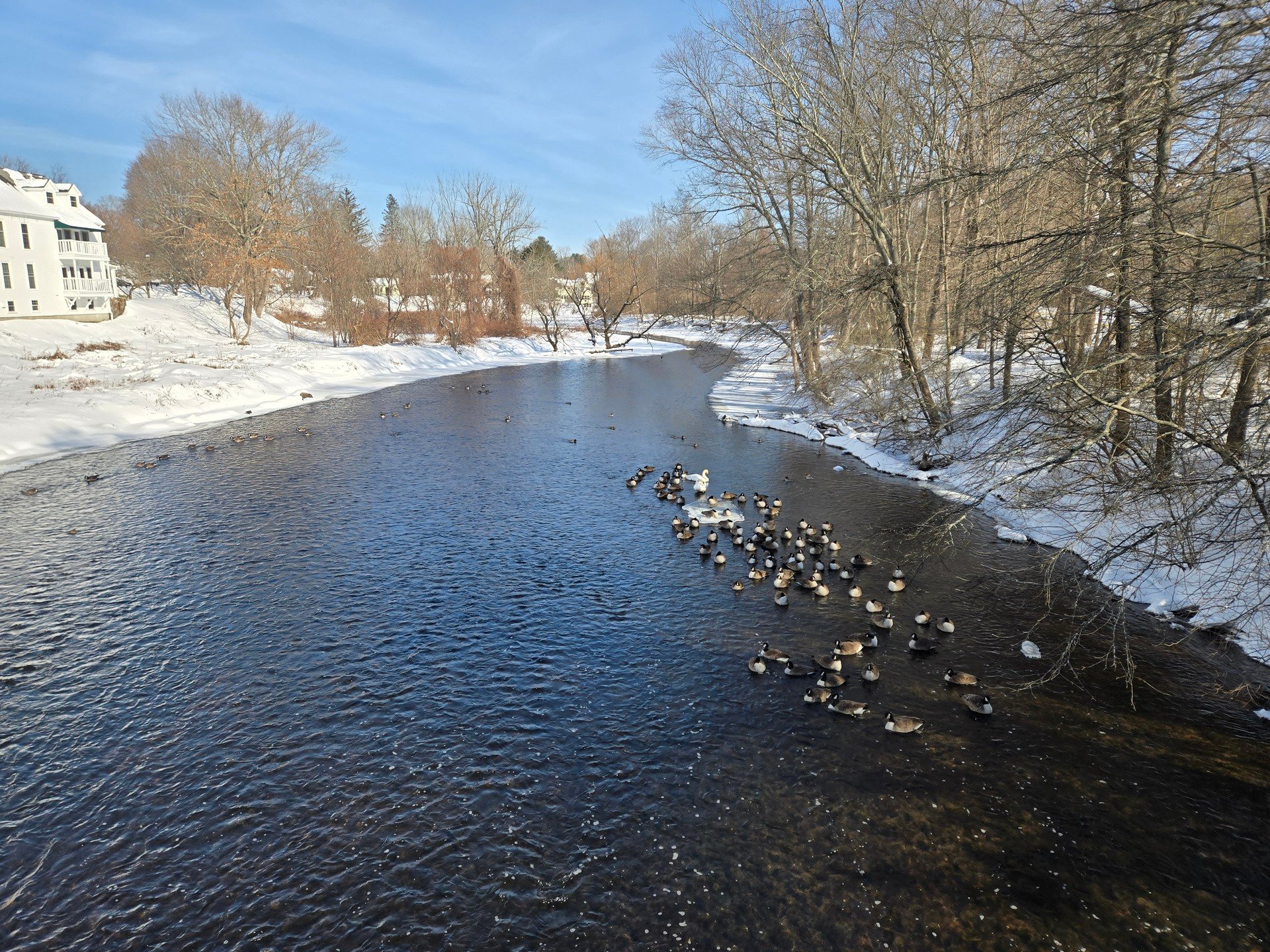 #AcademicRunPlaylist - 1/29/26