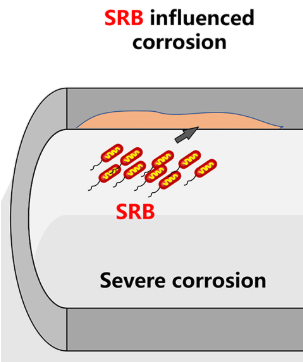 How Glutaraldehyde Works as a Biocide for SRB