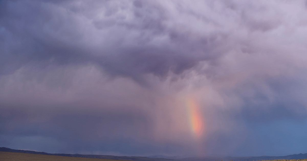 Meetings of Interest: 🌈☁ After Rainbows