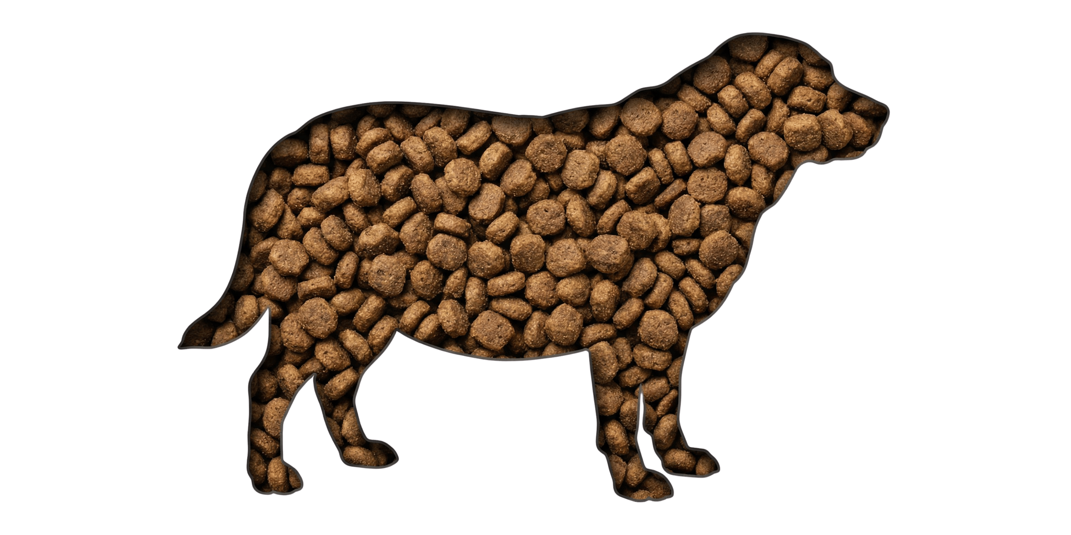 Why Dogs are Getting Fatter and How to Stop It