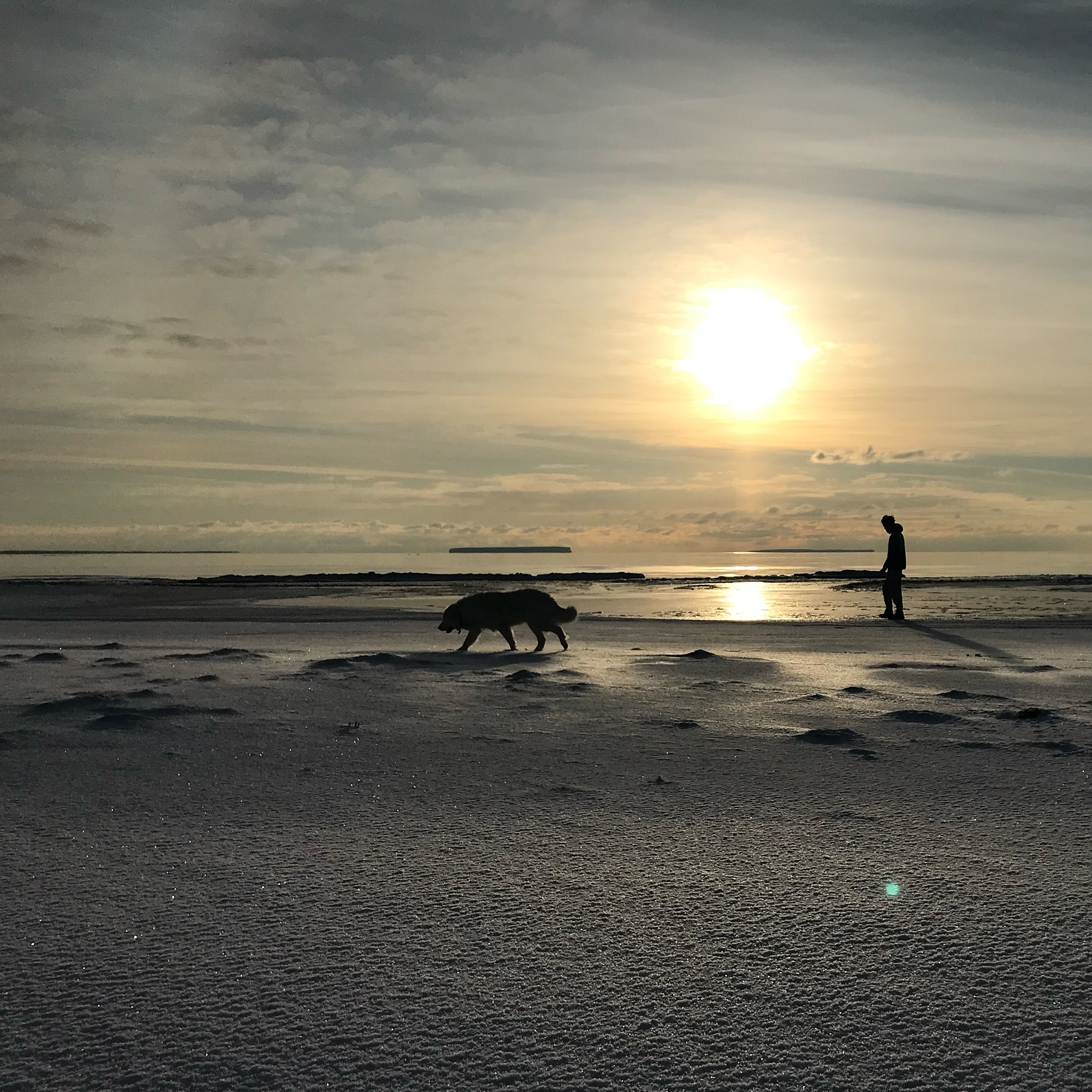 We're Moving to the Arctic!