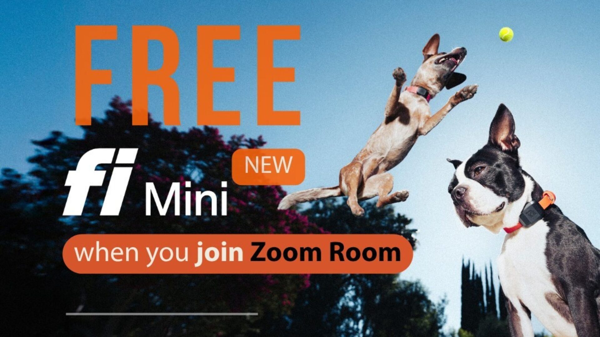 When Franchisors Find the Right Tech Partners, Everyone Wins