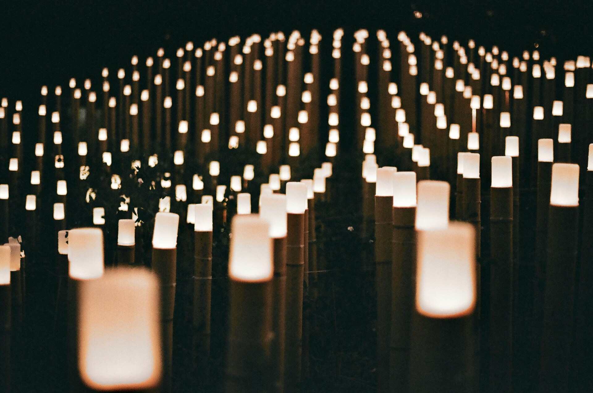 More Trans Americans Talk Transgender Day of Remembrance