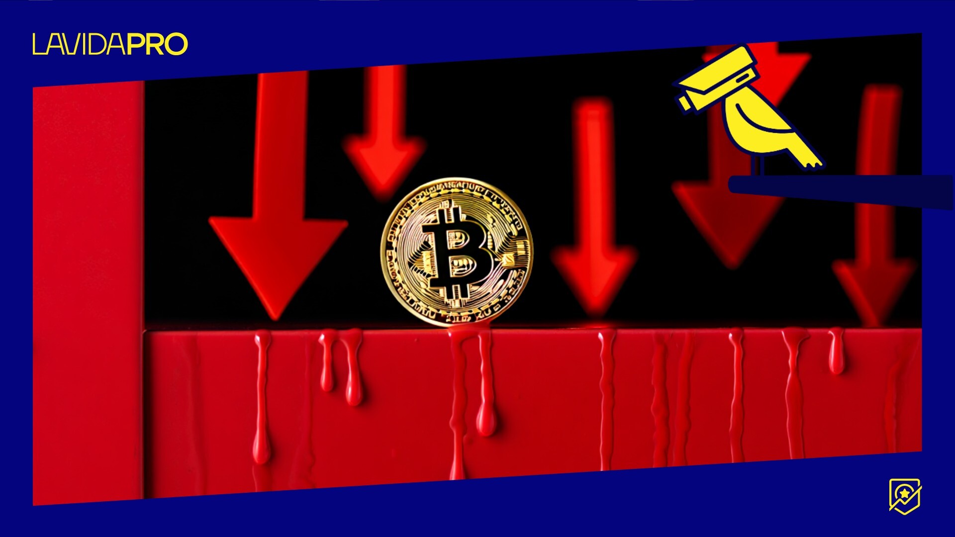 👑 ¿Fin del Mini-Bear Market? + Nueva Preventa