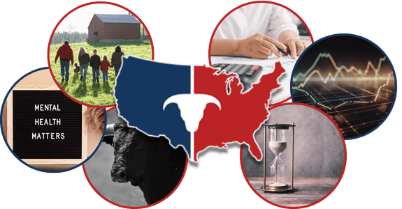 CATTLEUSA DRIVE - Wednesday, April 8th