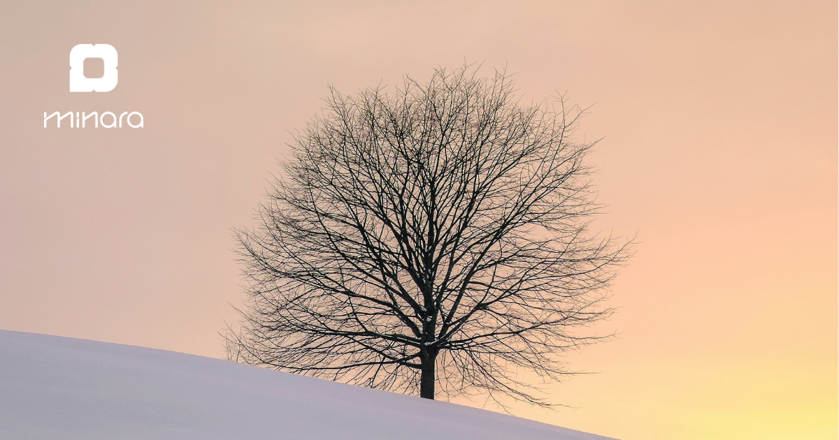 A Juggling Act 🤹🏽‍♀️🤹🏽‍♂️