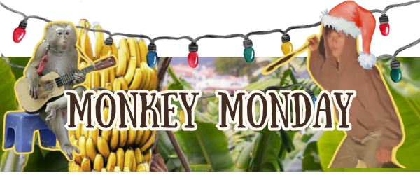 Monkey Monday #12
