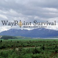 When Survival Isn’t Enough...Chapter 4
