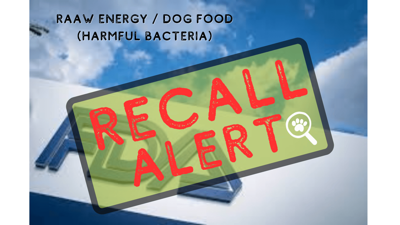 Recall Alert: Raaw Energy / Dog Food (Harmful Bacteria)