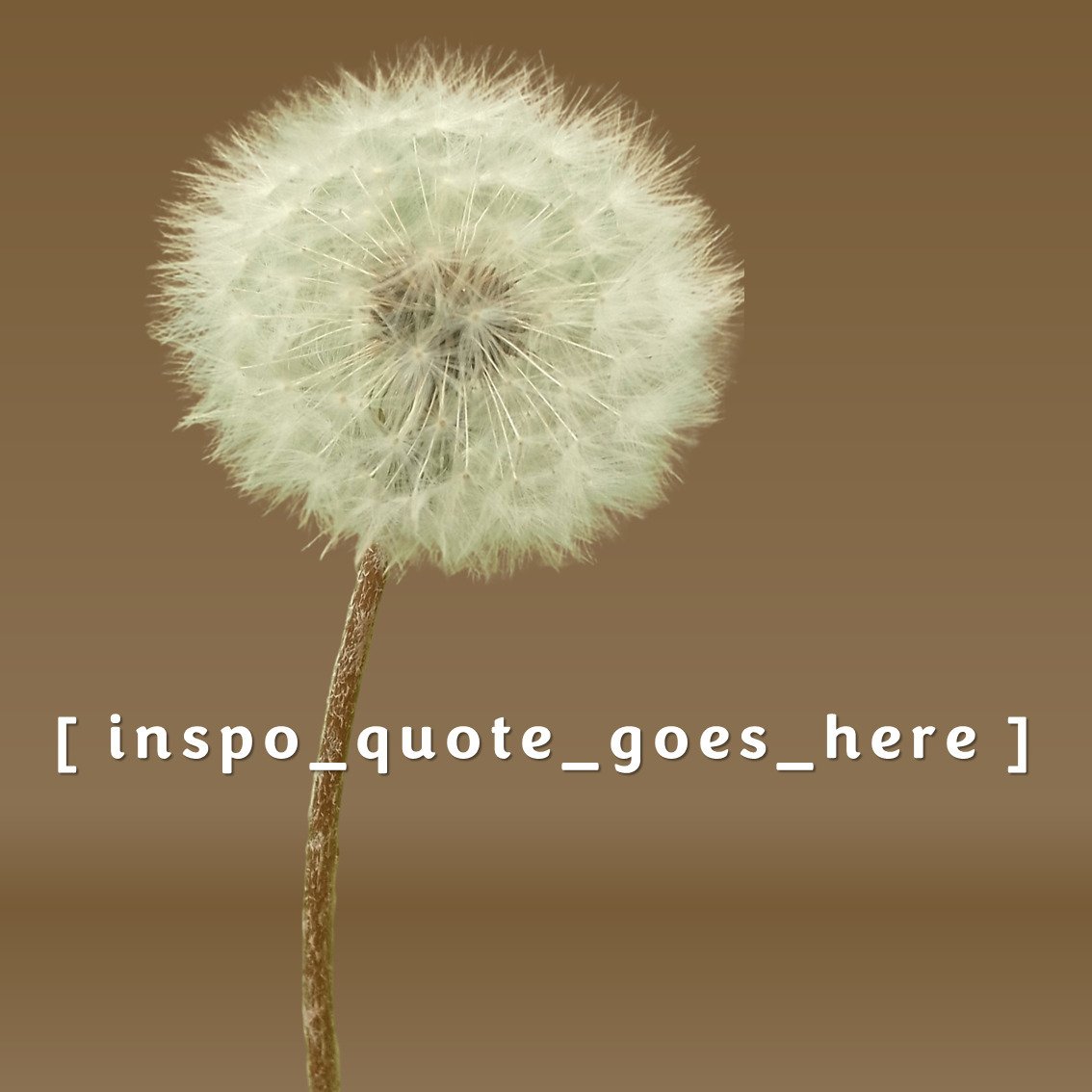 INSPO QUOTE GOES HERE