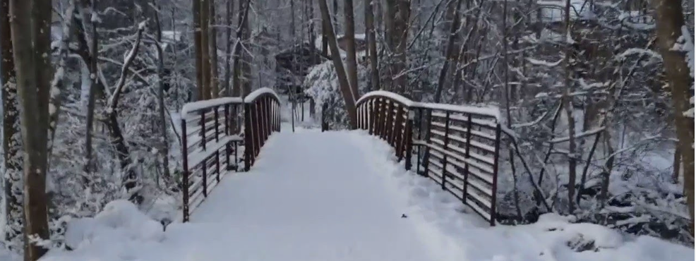 Life On Lake Thoreau, School Border Shuffle