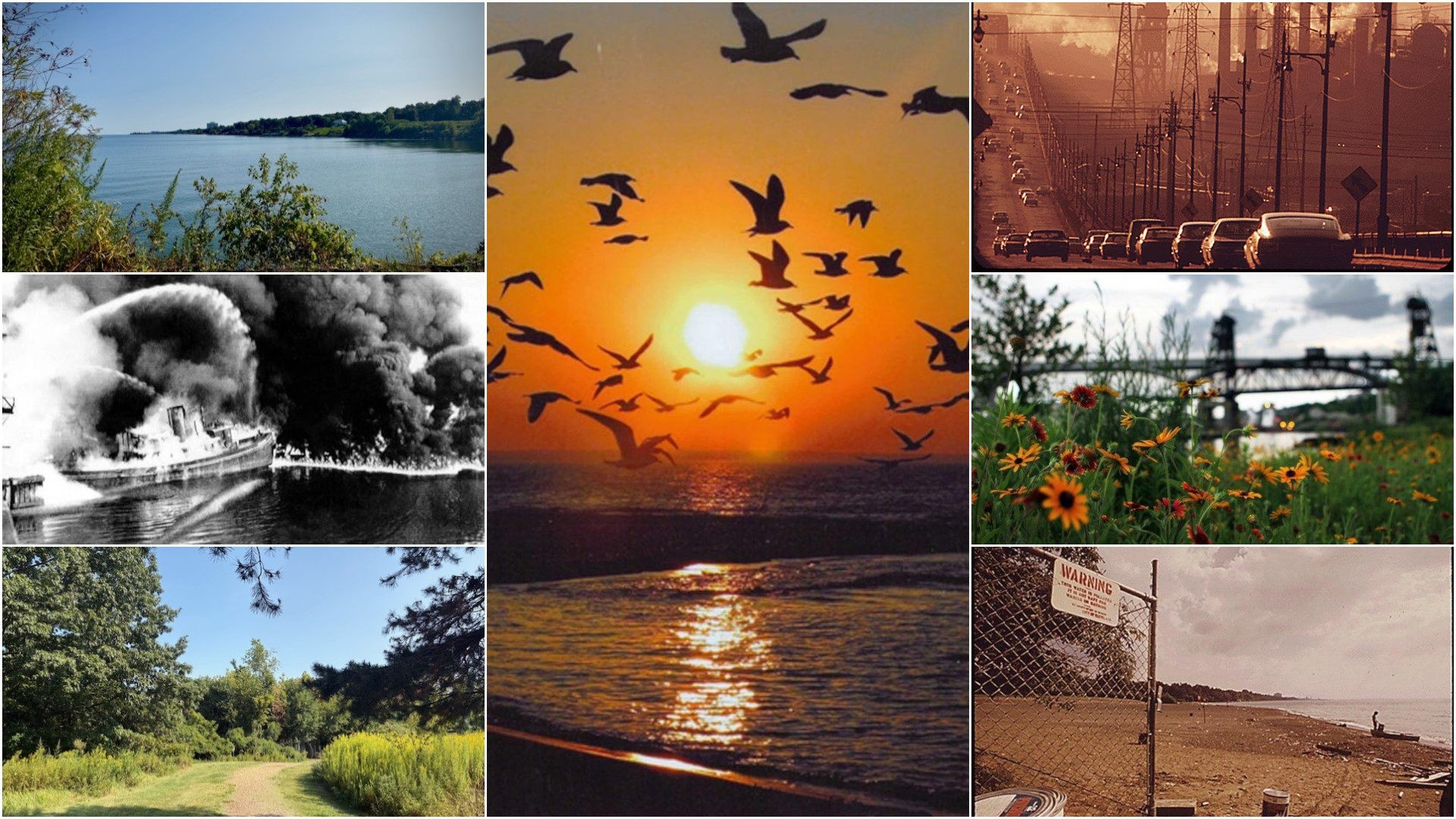 🔥 The fire that changed everything