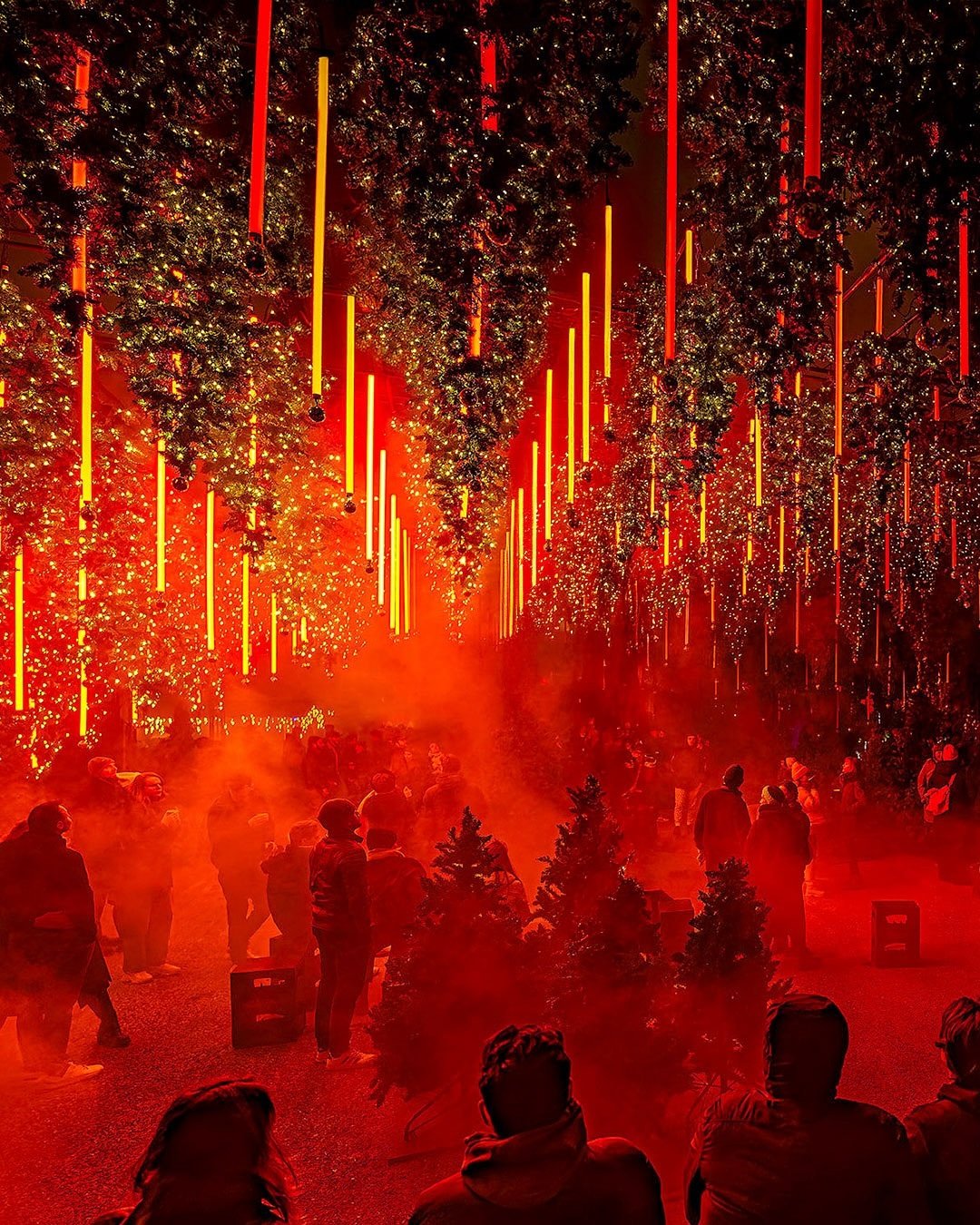 Hello Berlin! Here's what you need to know for your week