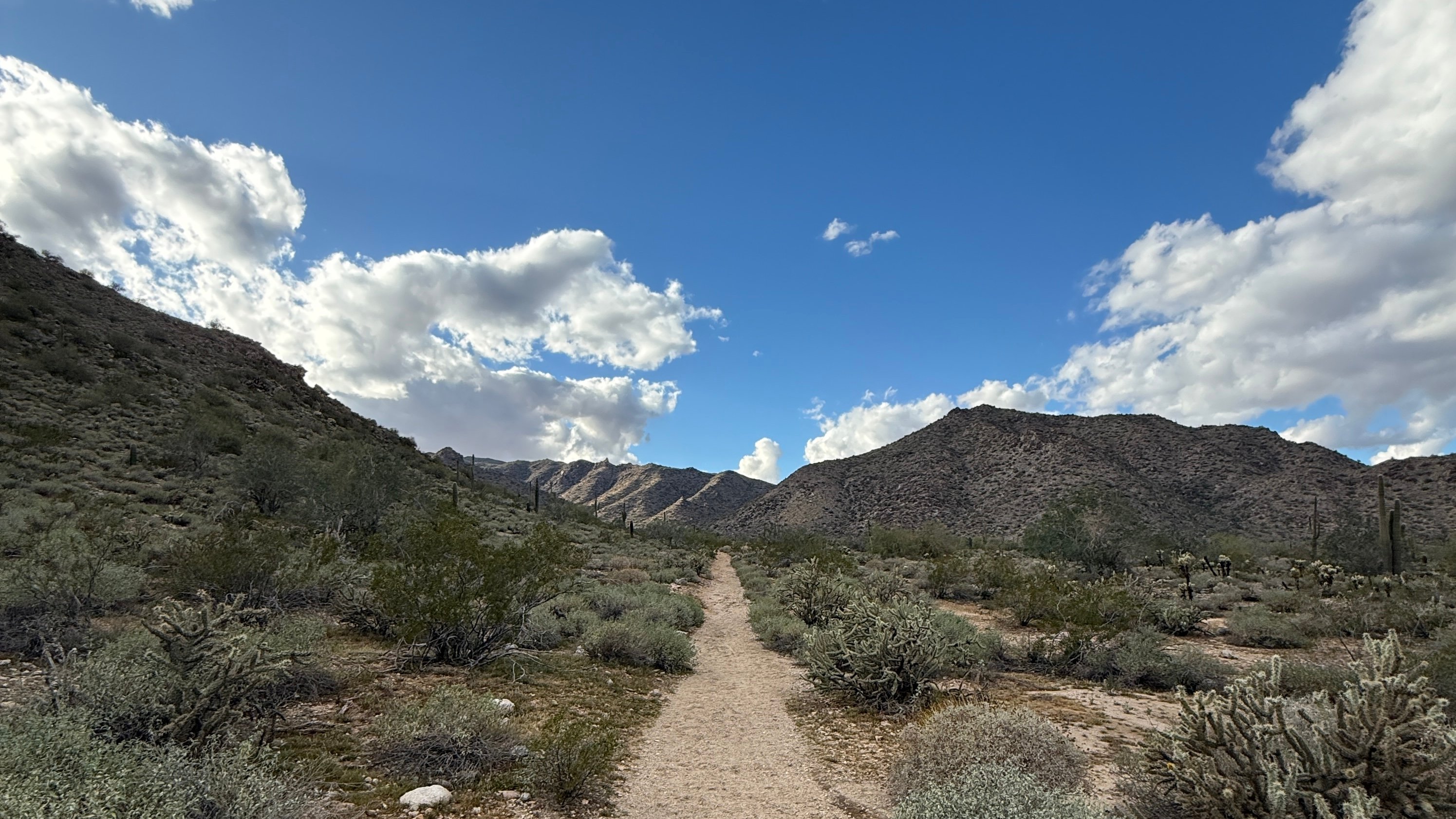 White Tanks: South Trail