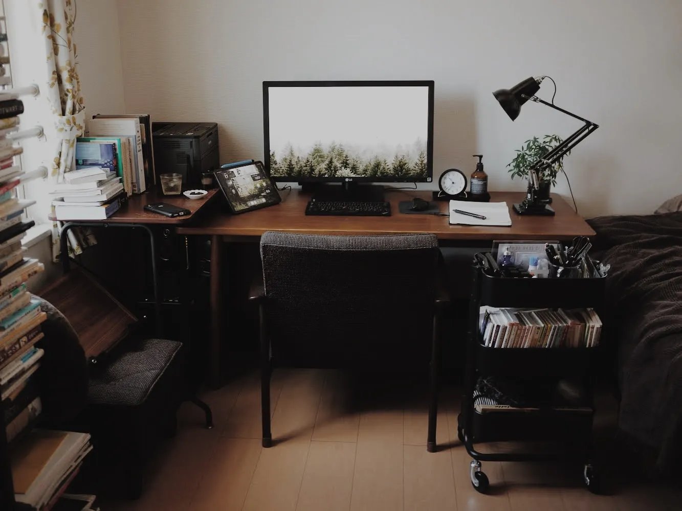 ニュースレターを始めました