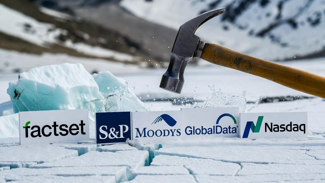 Info Services Hammered