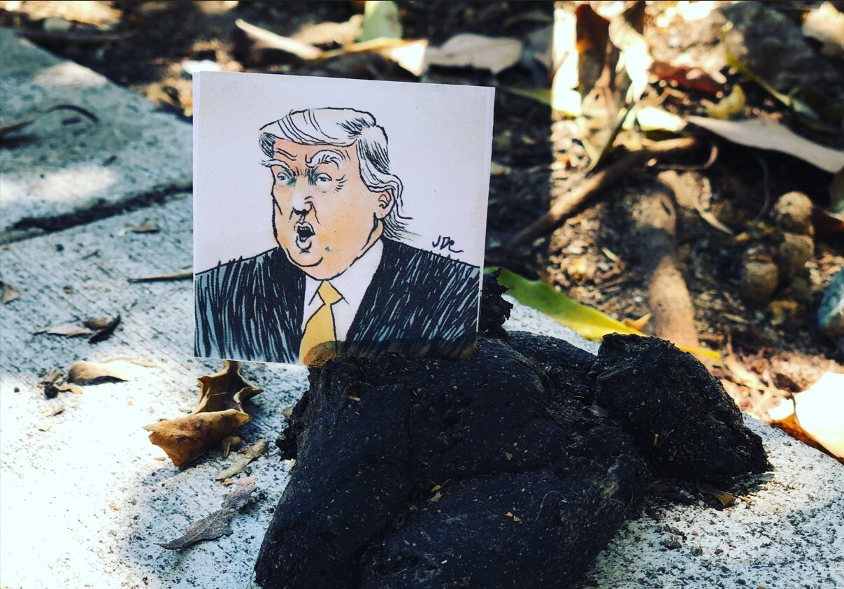 Trump is not a King, He’s Just a Weak President