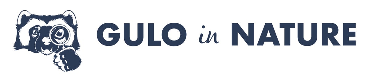 Thanks for subscribing to the Gulo in Nature Newsletter!