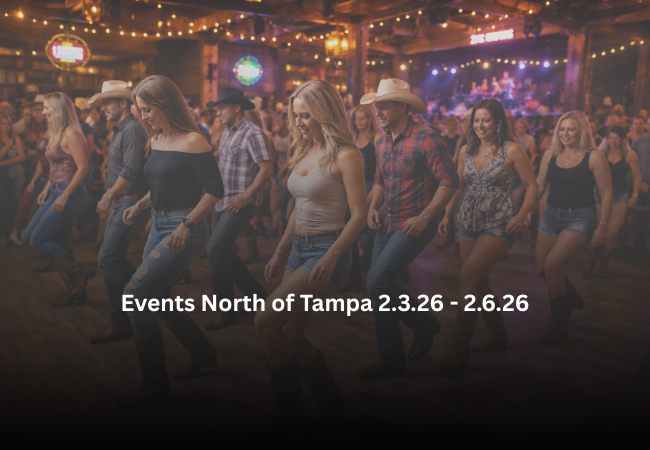 🎉 North Tampa Buzz Events 2.3.26-2.6.26