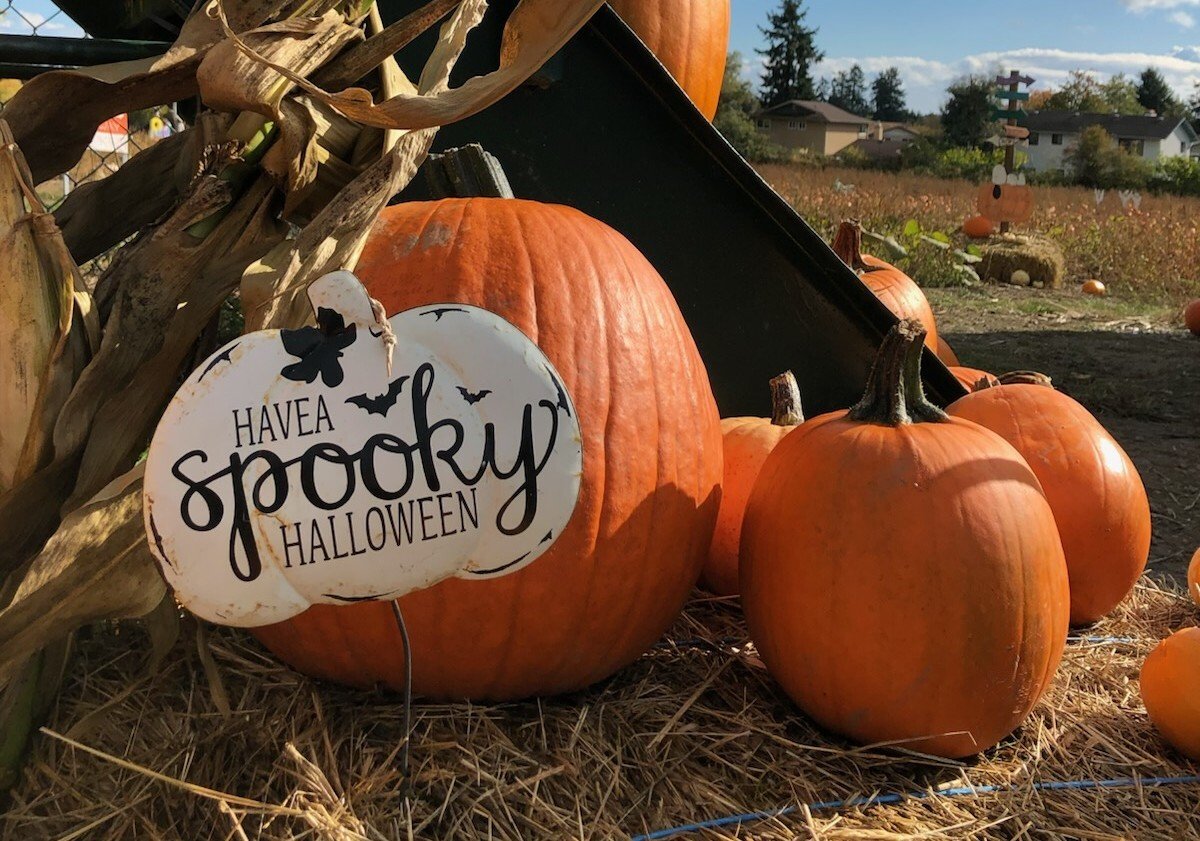 Your Ultimate Halloween Week Guide: 36 Events Across Greater Victoria