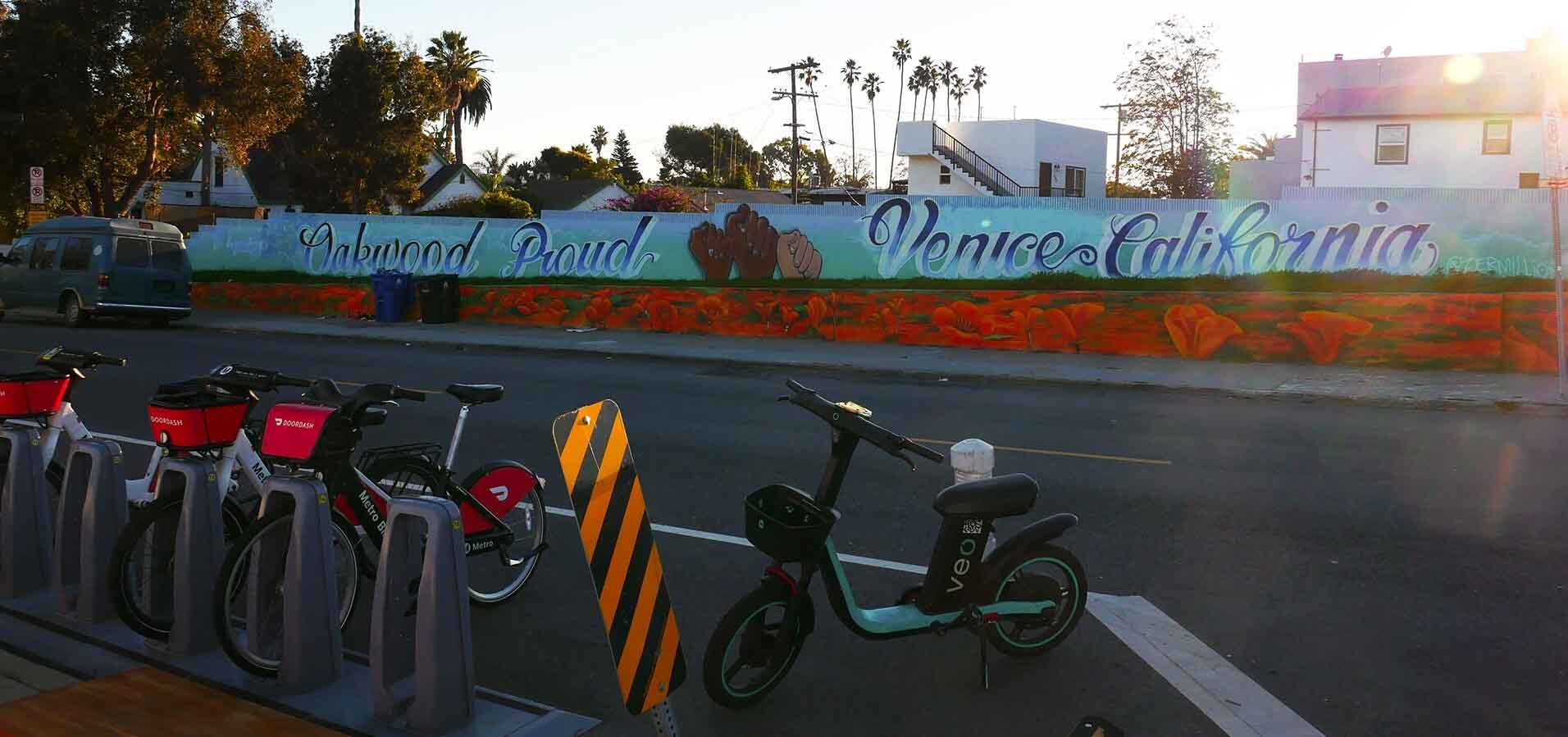 Venice Rising — Venice, California