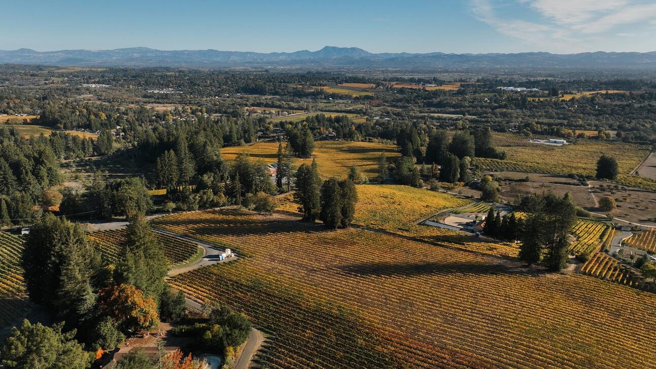 How to Enjoy Sonoma Wine Country...Sober