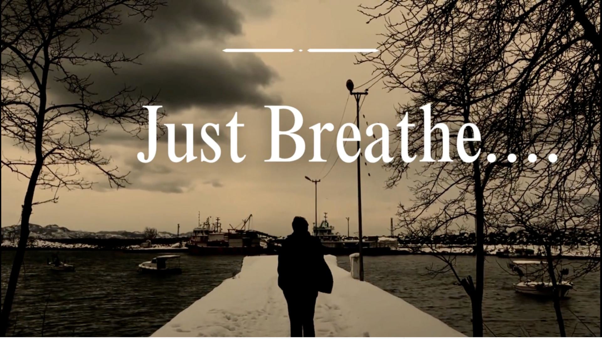 From Numbers to Breath: What the Immigration Levels Plan Really Means