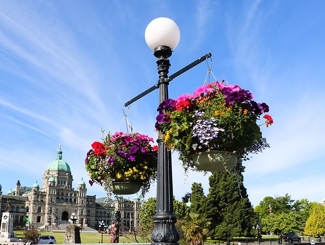 Feb 26 - 600 flower baskets hang in the balance
