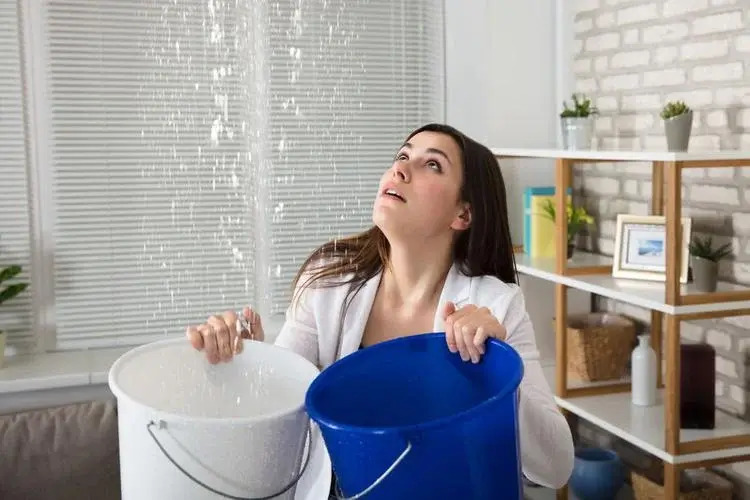 Water Woes: Navigating Condo Leaks with Ease