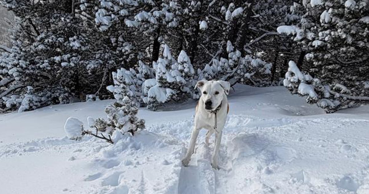 Memory is a romantic historian