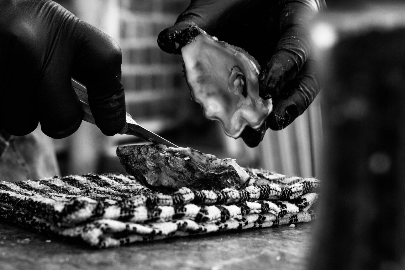 Unleash Your Inner Adventurer