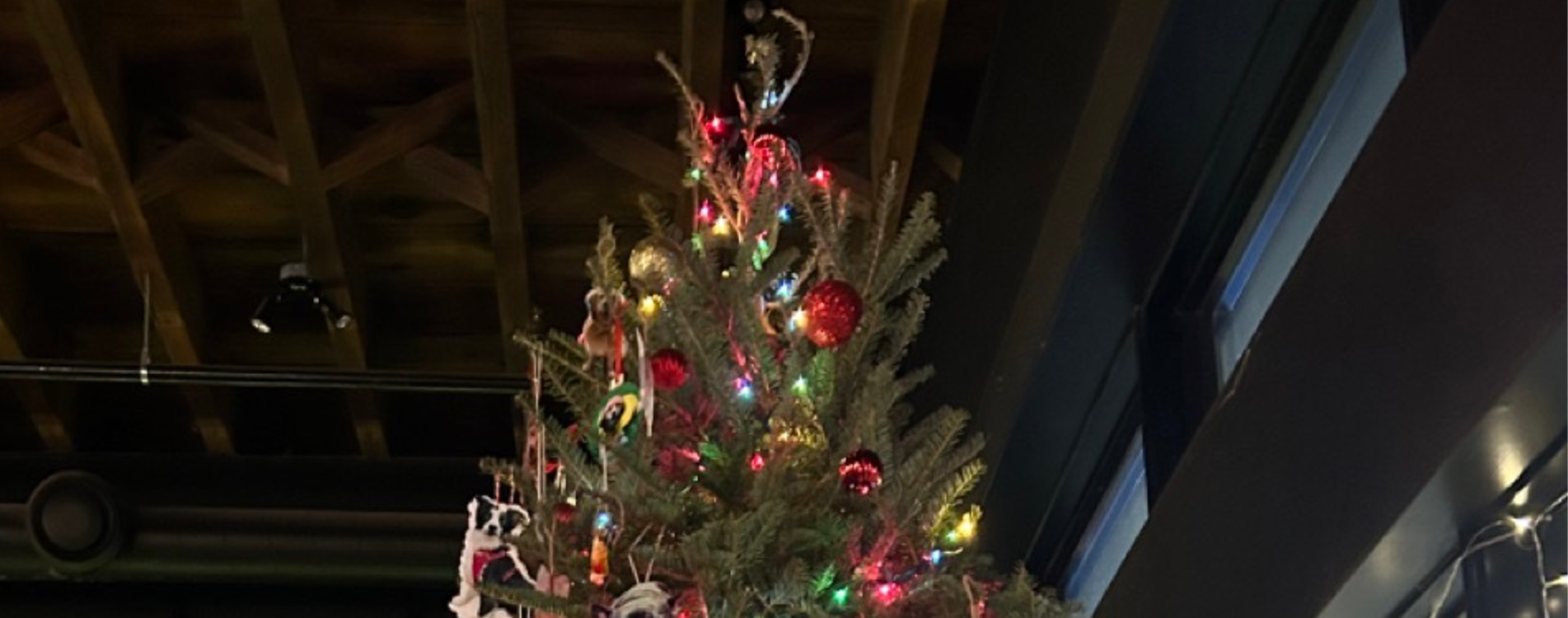 🎄 Sh!t just got festive