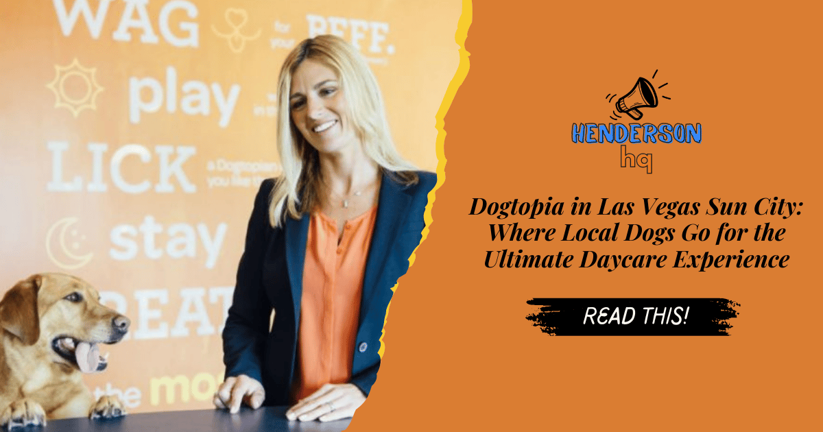 Dogtopia in Las Vegas Sun City: Where Local Dogs Go for the Ultimate Daycare Experience