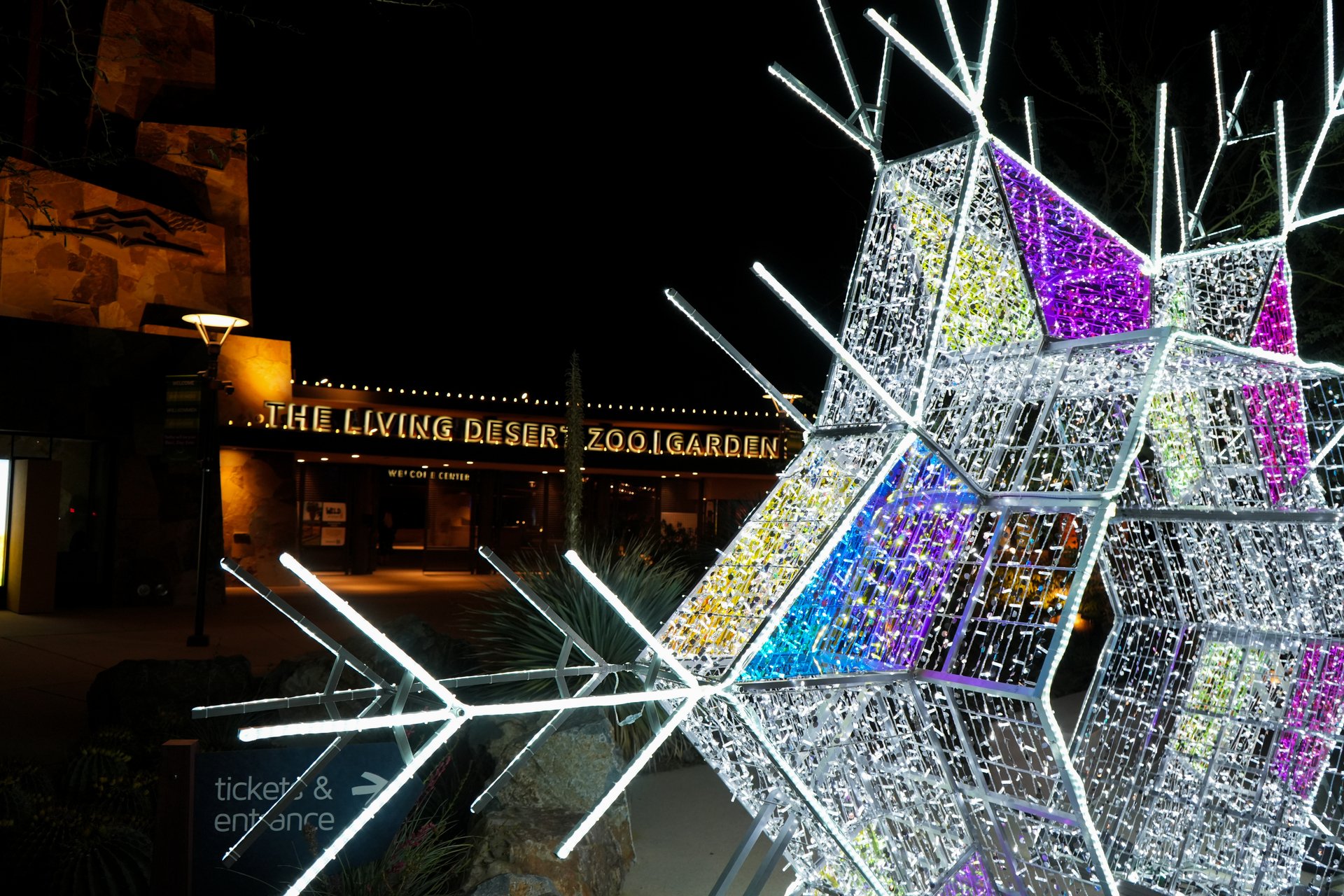 WildLights returns to Living Desert for 33rd season