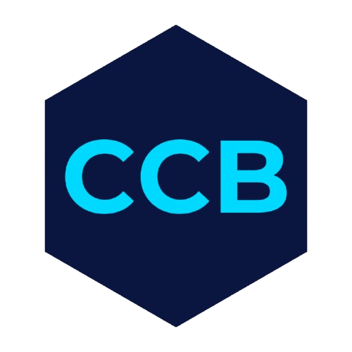 Cyber Career Blueprint