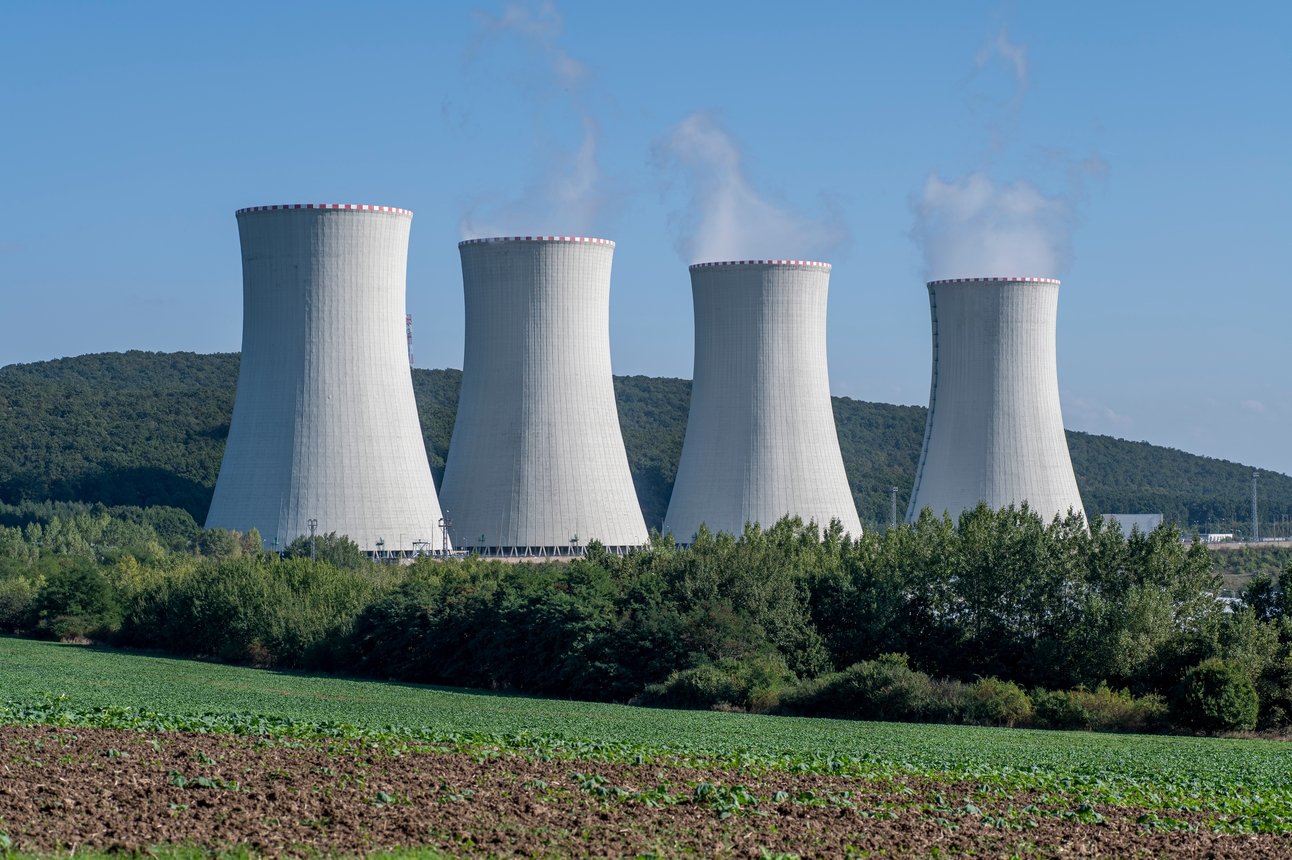 Meet the fungi cleaning nuclear waste ☢