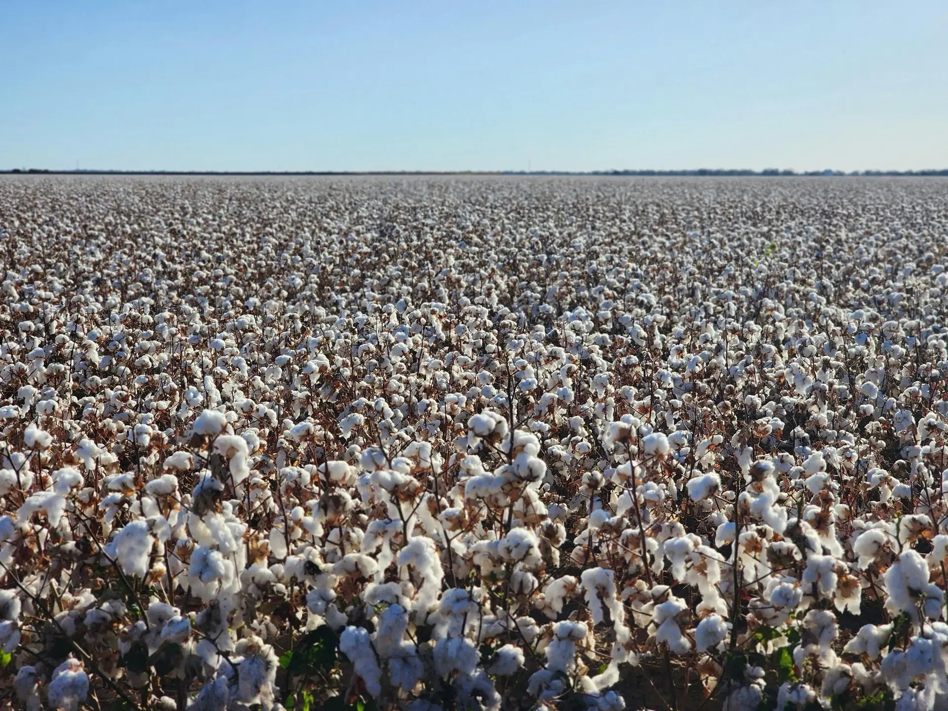 Case Study: GSX & Frey Commodities – Strategic Expansion & Optimisation