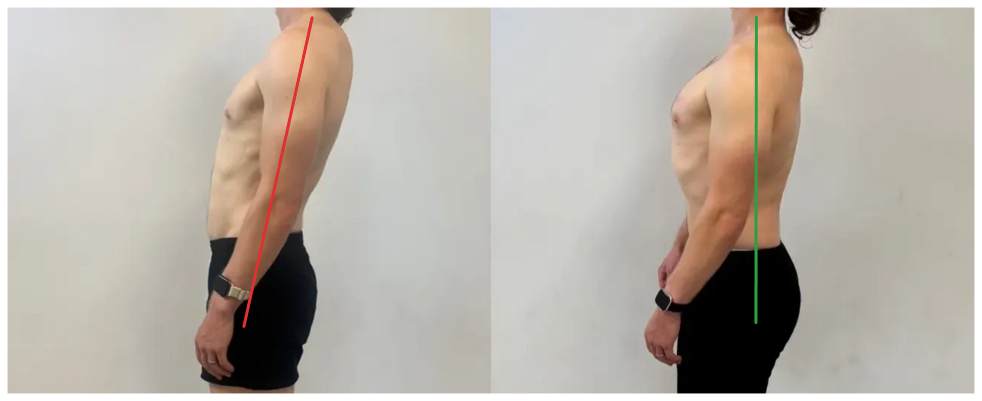 A new body for the holidays