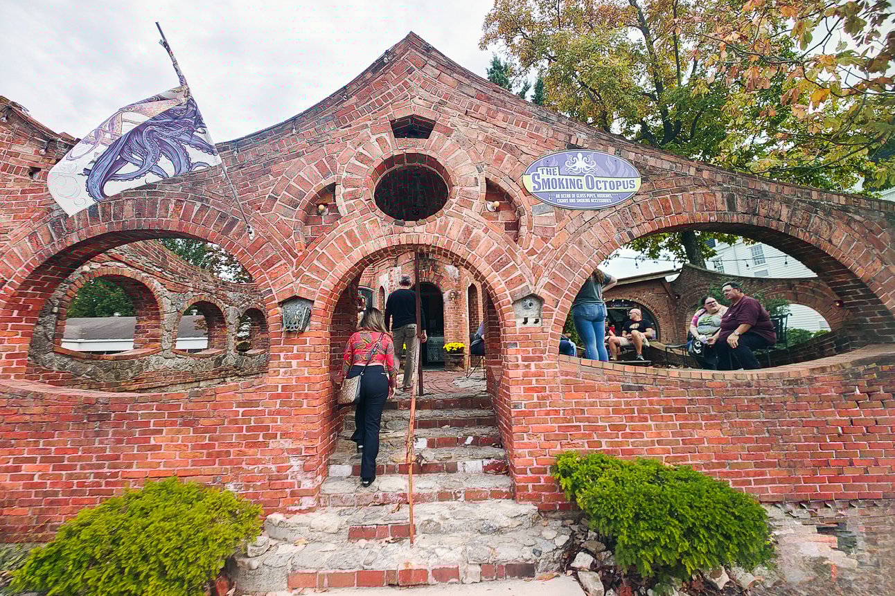 The Annual Street Fair in Yellow Springs, Ohio