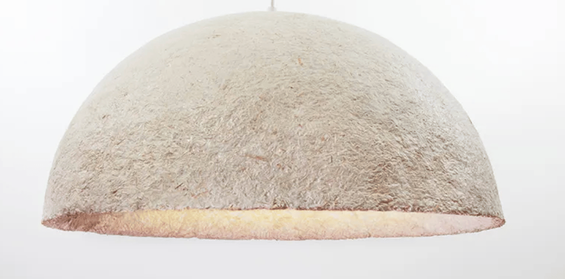 Mycopreneur en Español