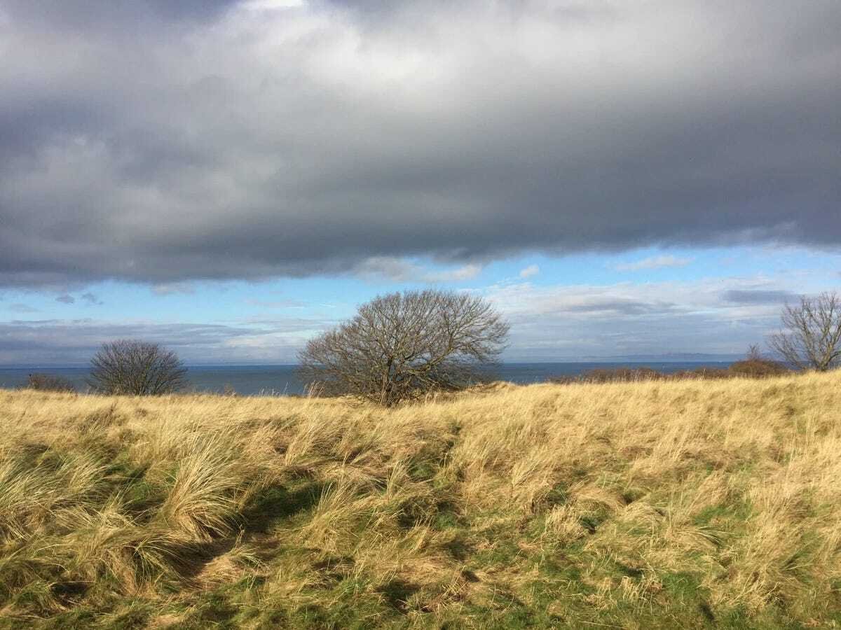 What is mental toughness? A mental toughness resource